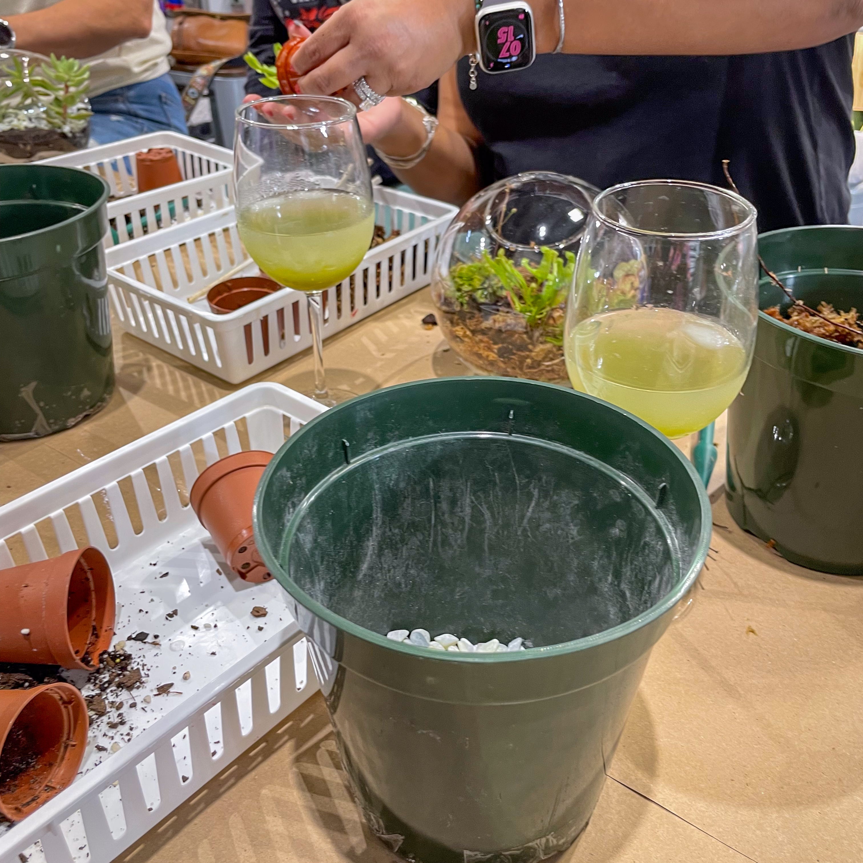 Sweetheart Terrarium Workshop - Thursday, TBD