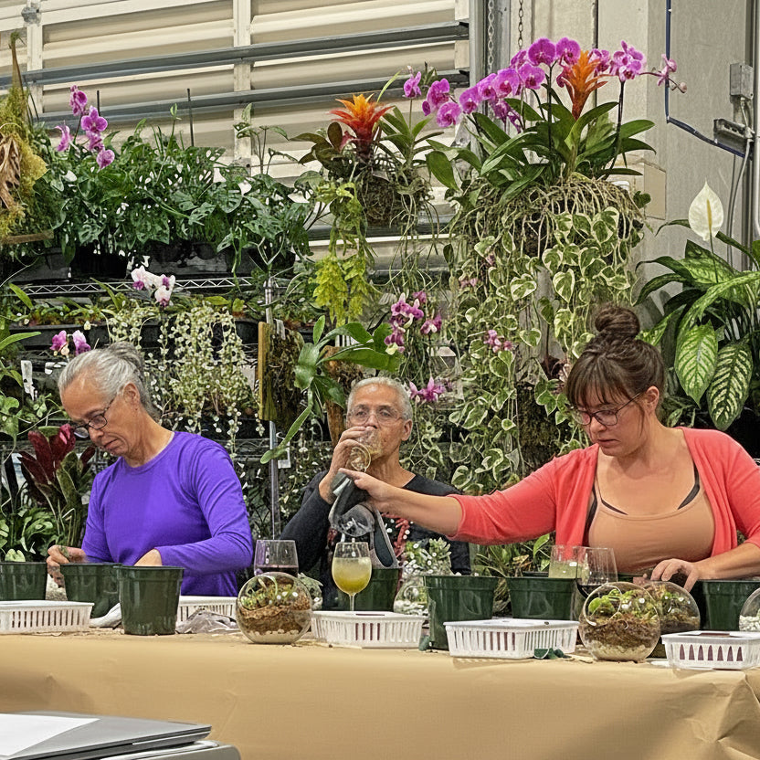 Sweetheart Terrarium Workshop - Thursday, TBD