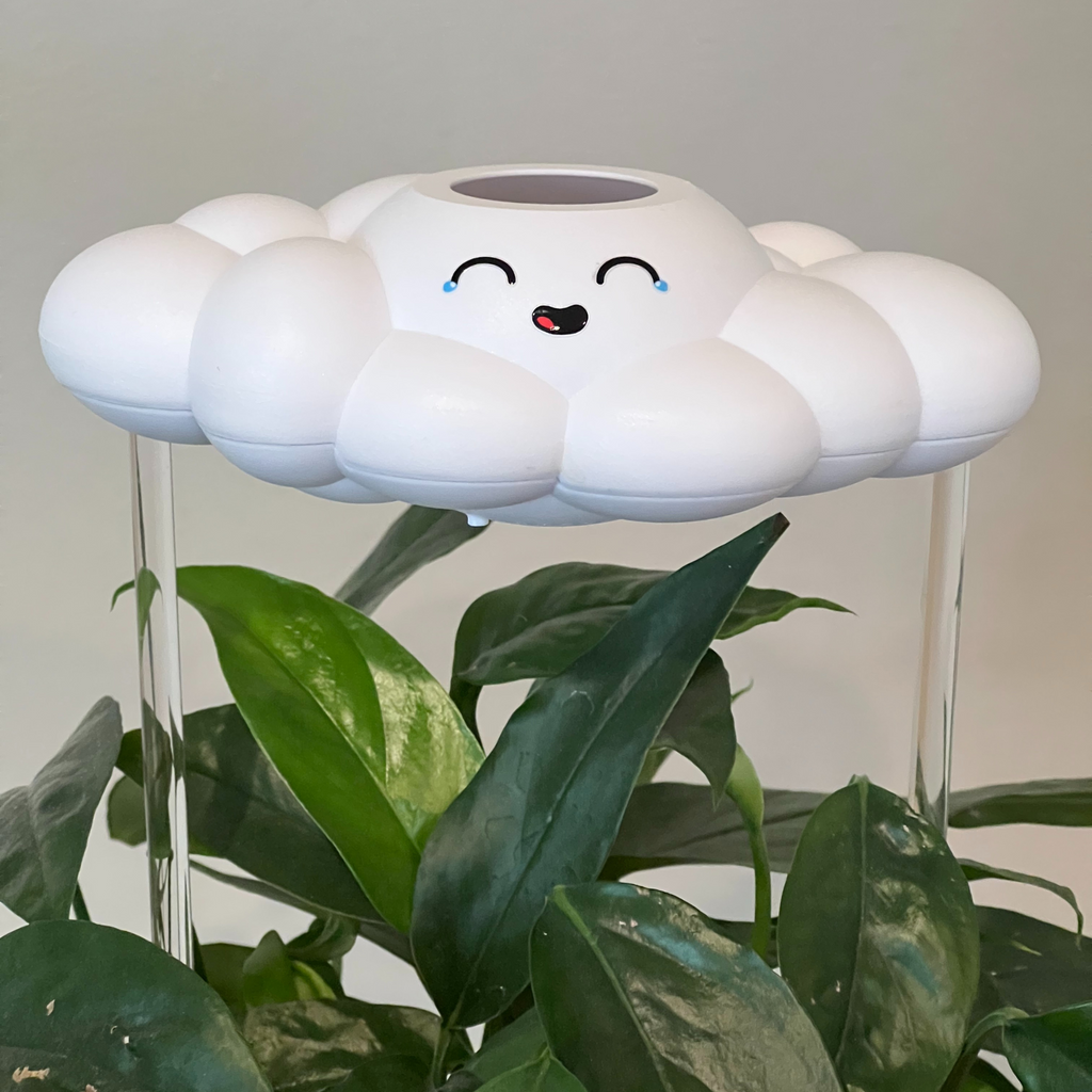Misty the Cloud