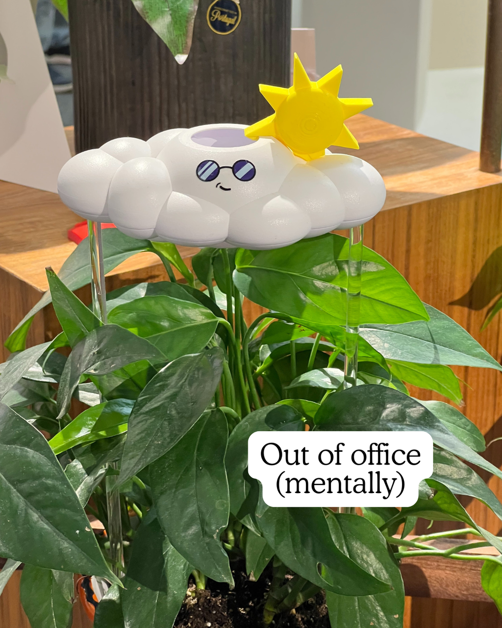 Cooper the Cloud