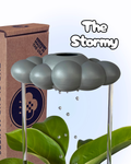 Stormy Dripping Rain Cloud