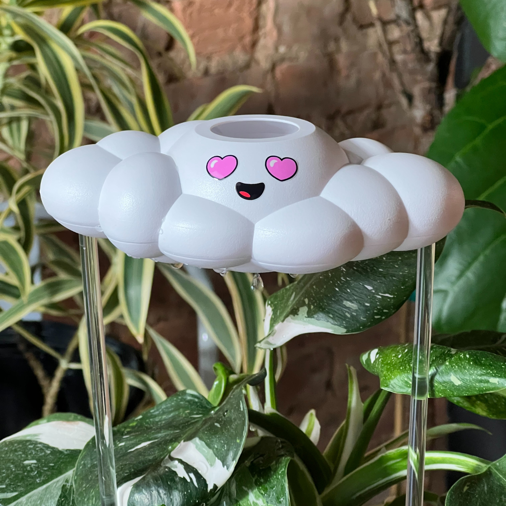 Chloe the Cloud