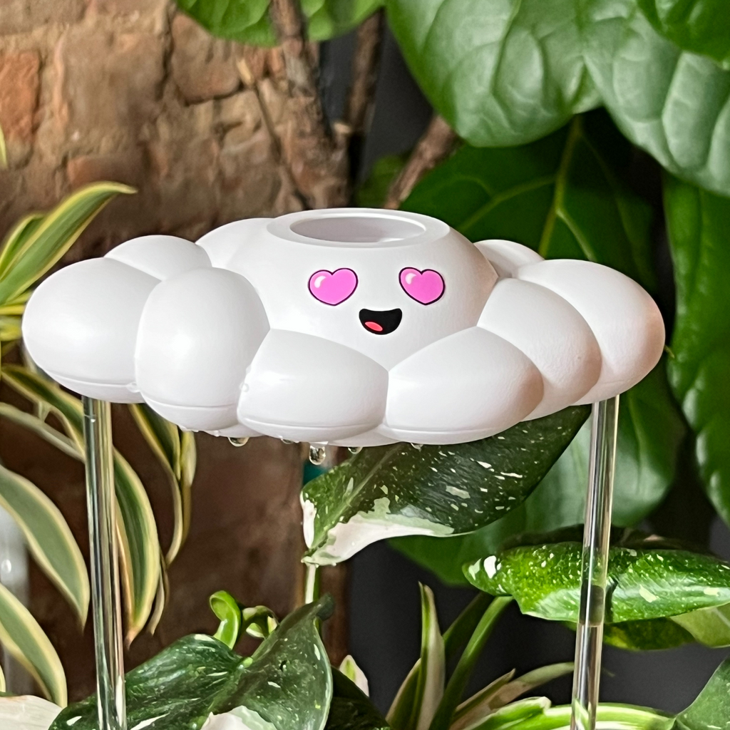 Chloe the Cloud