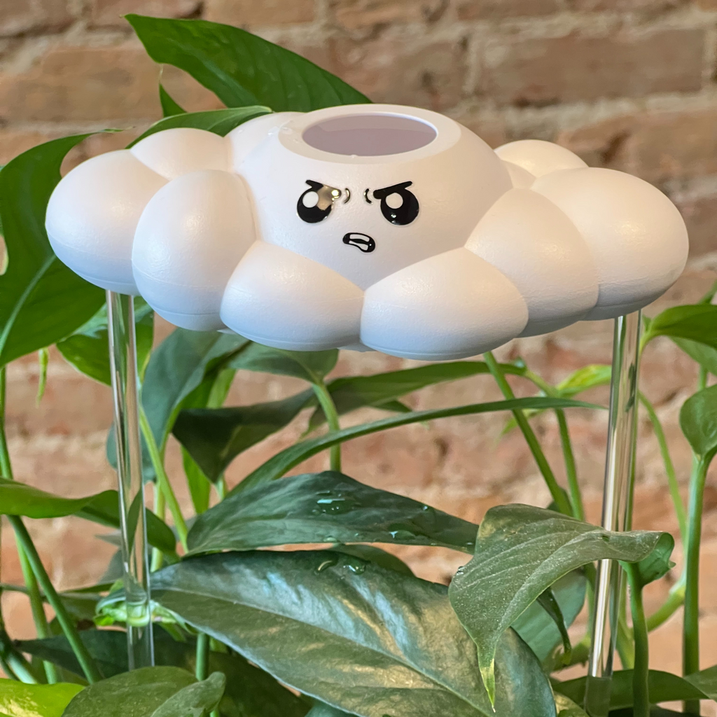 Cliff the Cloud