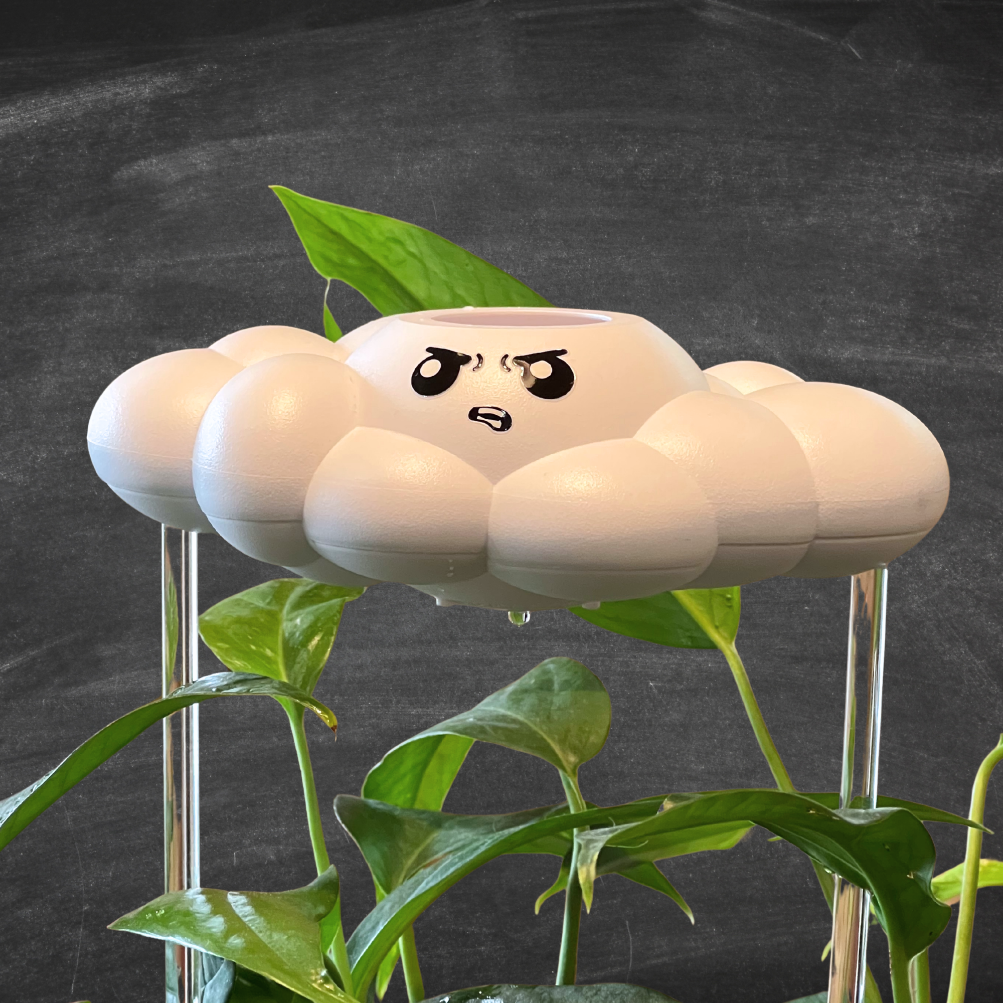 Cliff the Cloud