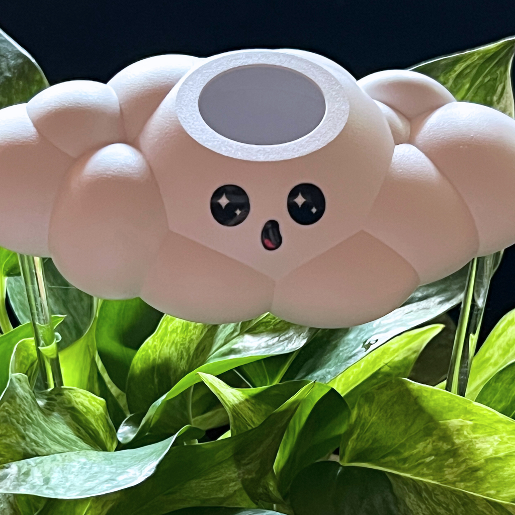 Cosmo the Cloud