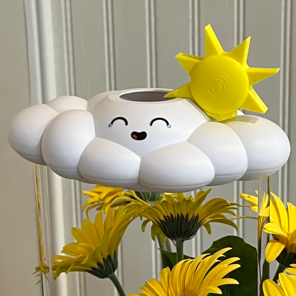Misty the Cloud