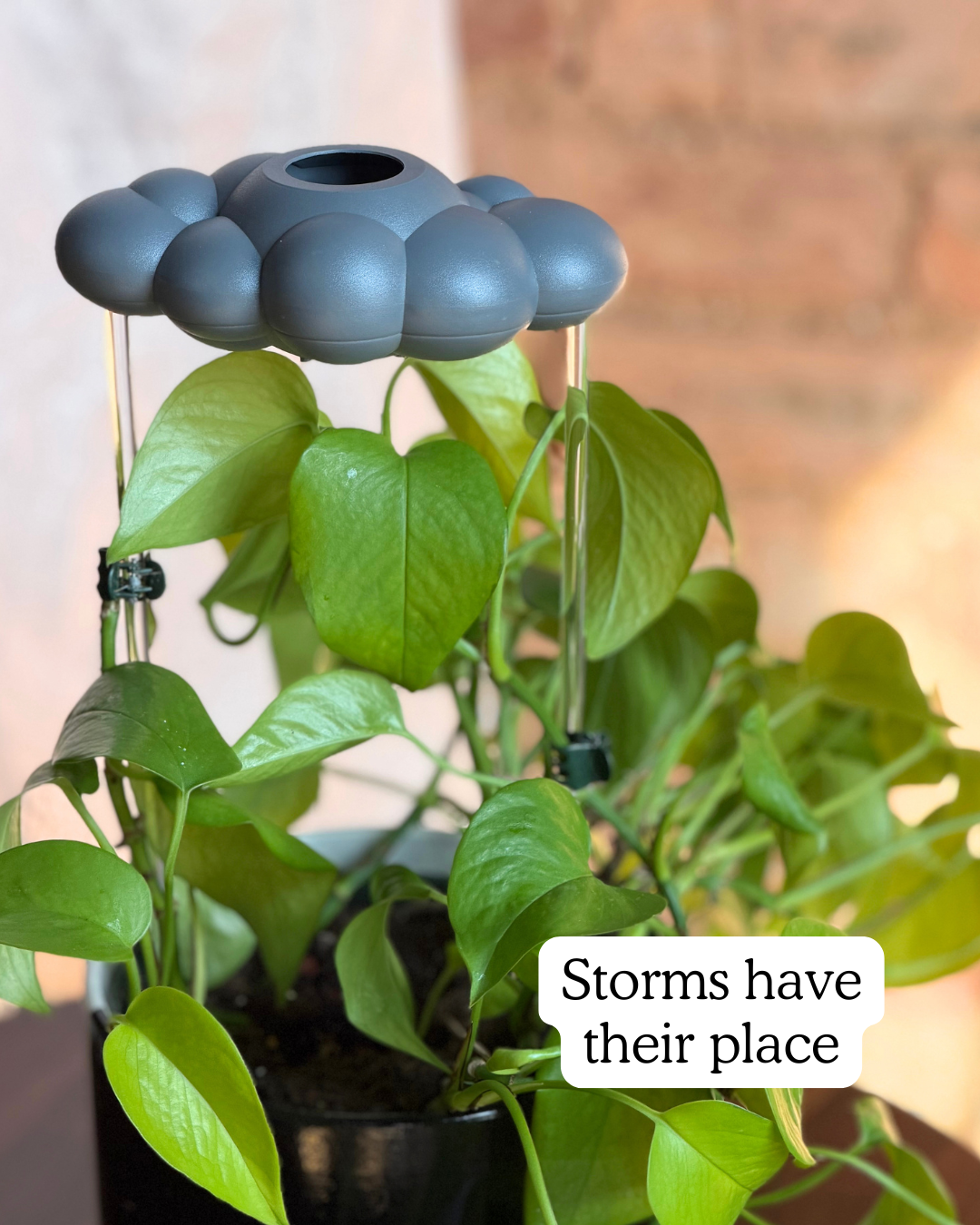 Stormy Dripping Rain Cloud