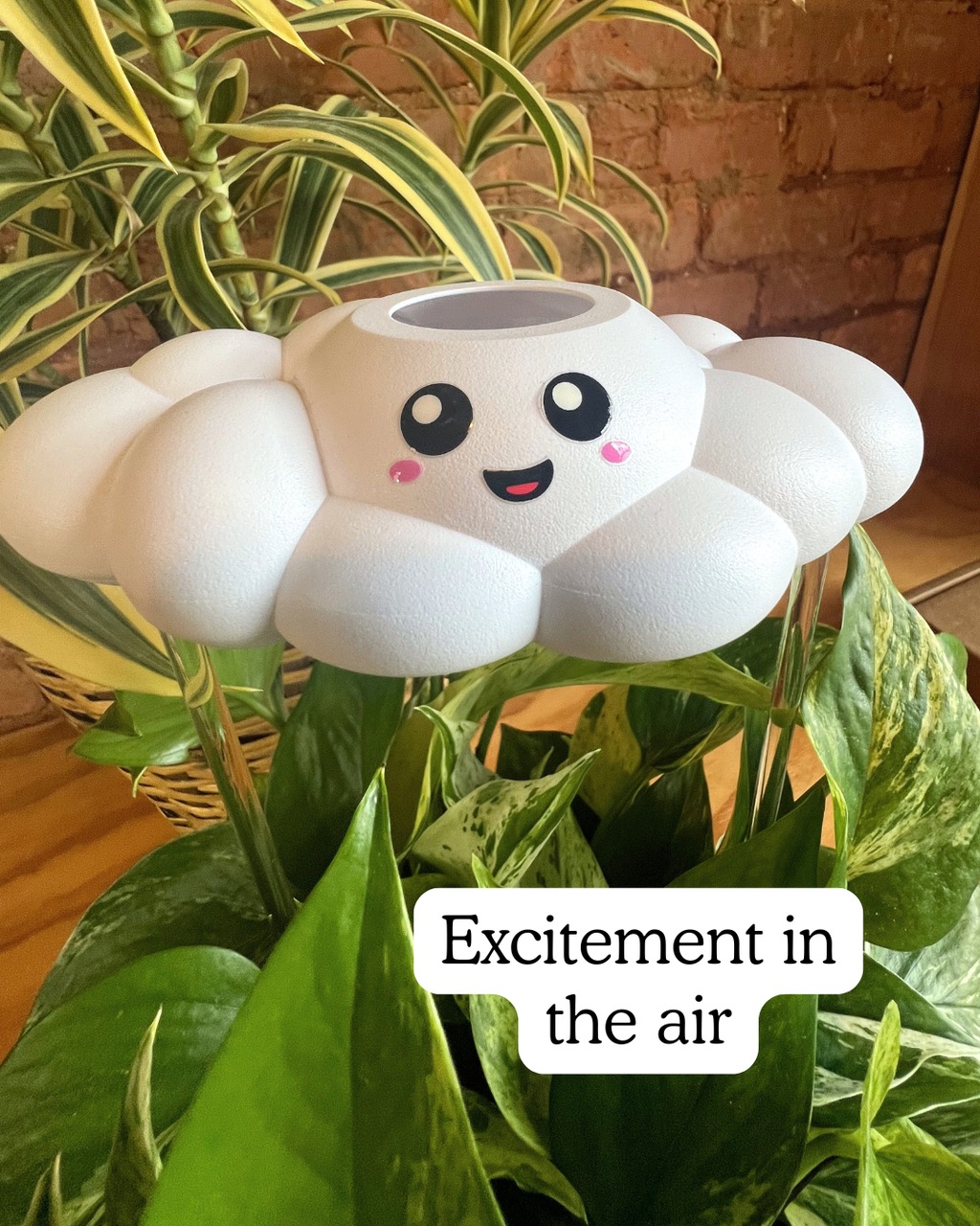 Skylar the Cloud