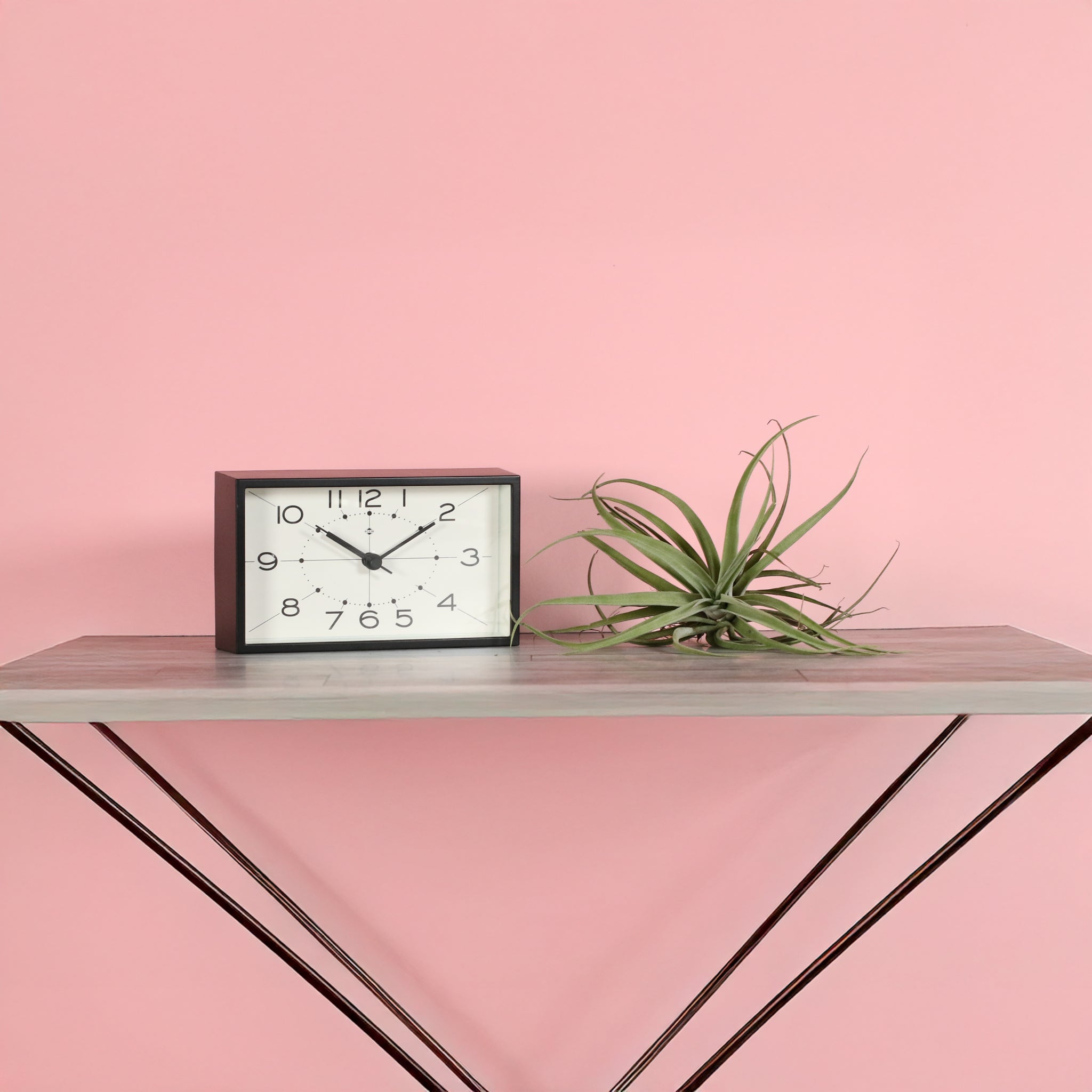 Tillandsia Capitata Peach Air Plant