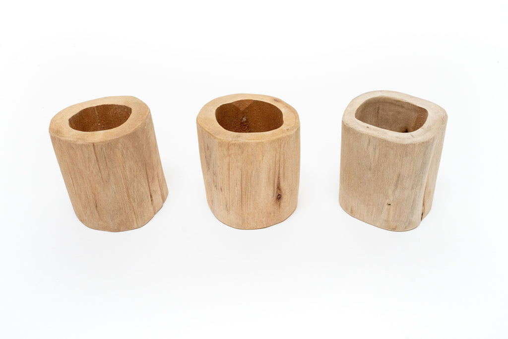 Set of 3 Large Driftwood Containers with Custom Tillandsia Air Plants
