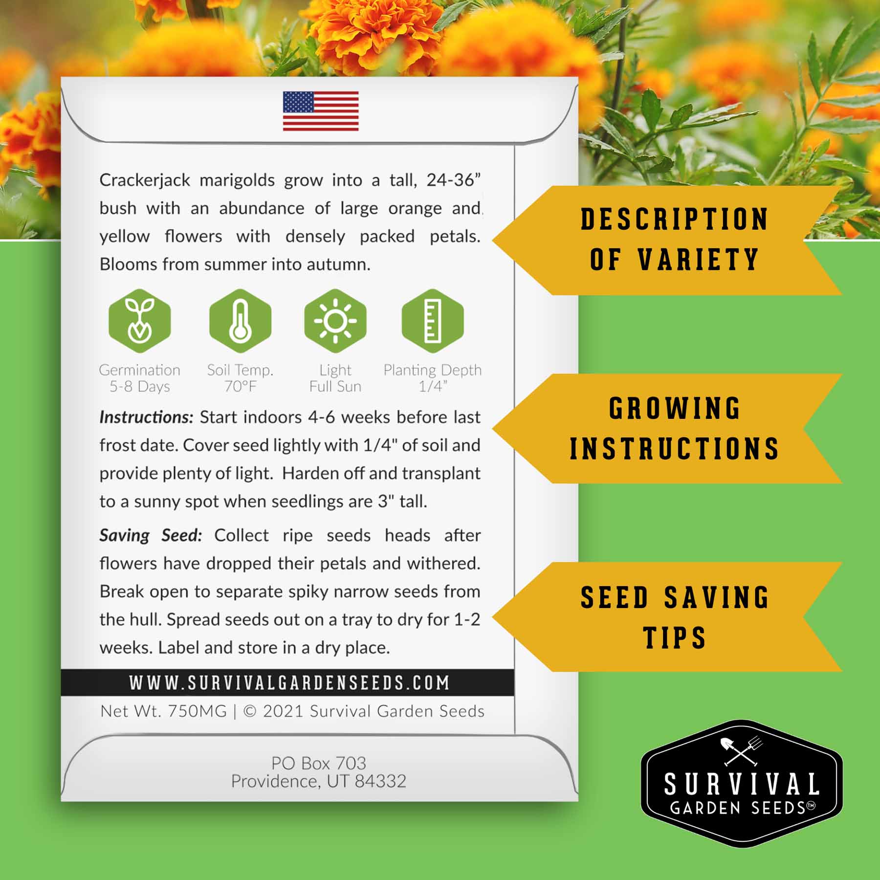 Tomato Companion Plant Seed Collection – Marigold, Basil Blend & San Marzano Tomato for Productive Garden Beds