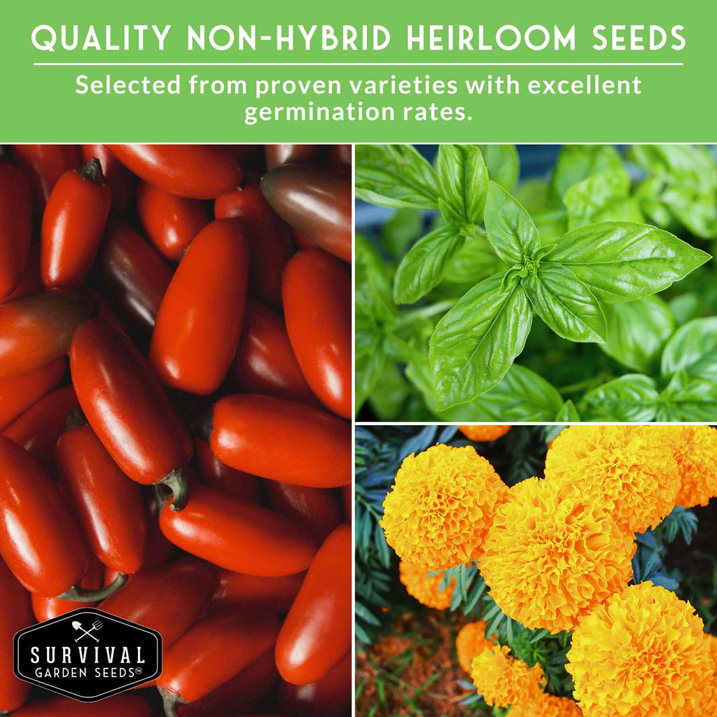 Tomato Companion Plant Seed Collection – Marigold, Basil Blend & San Marzano Tomato for Productive Garden Beds