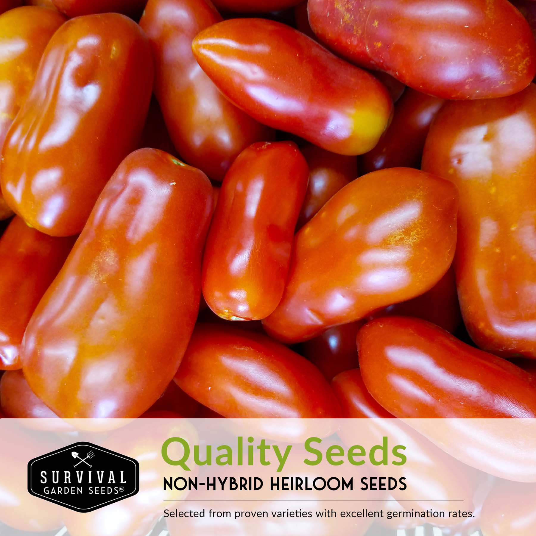 Paste Tomato Seed Collection – Roma & San Marzano Meaty Tomatoes for Sauces, Canning & Preserving