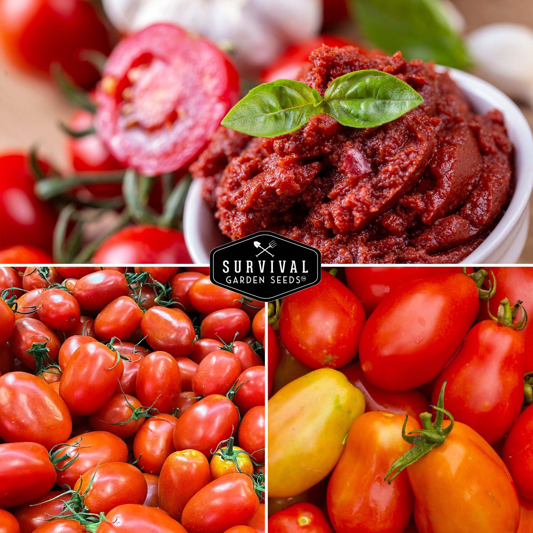 Paste Tomato Seed Collection – Roma & San Marzano Meaty Tomatoes for Sauces, Canning & Preserving
