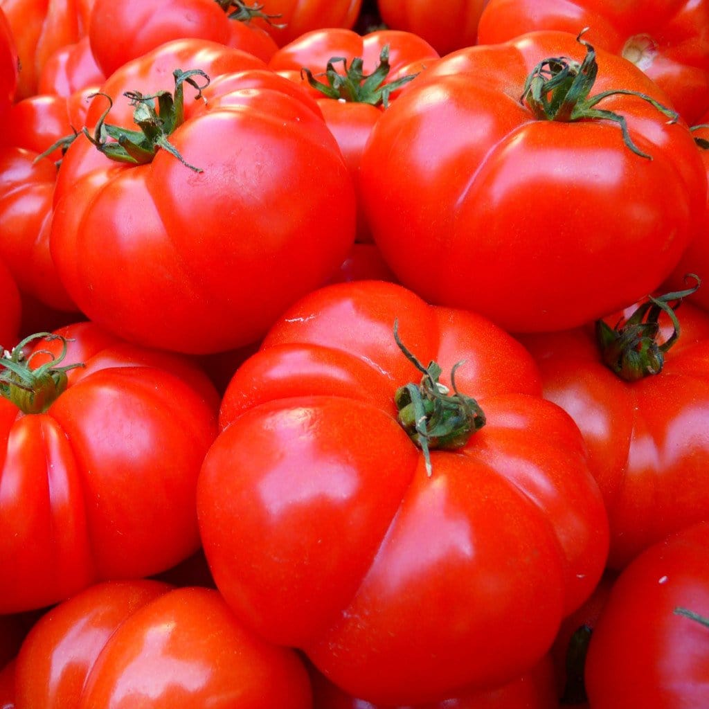 Red Brandywine Tomato Seeds