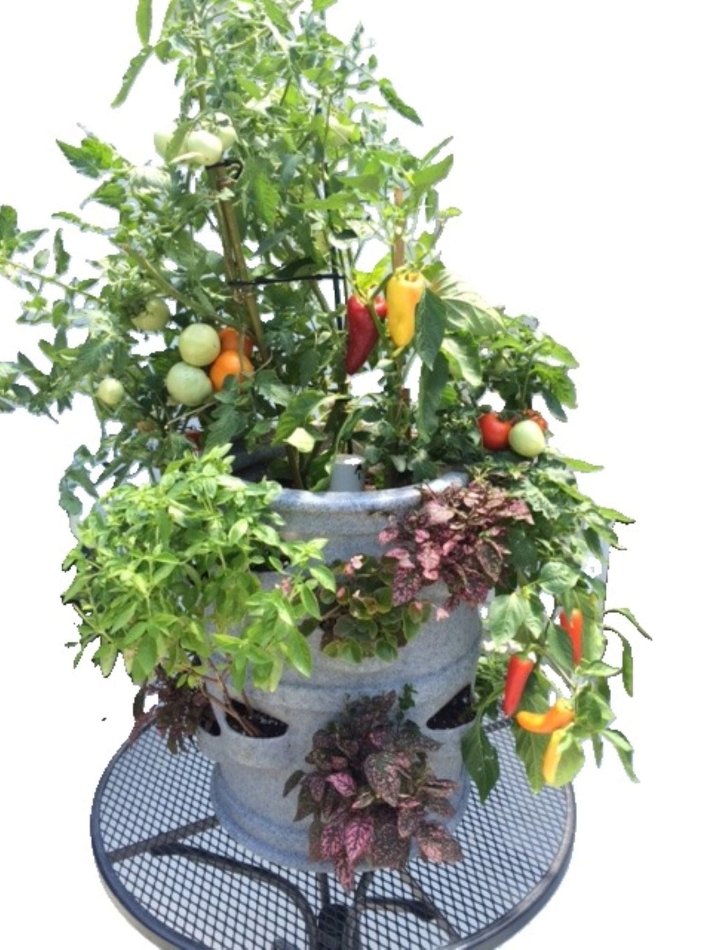 Planter W/Wheels Combo Pkg