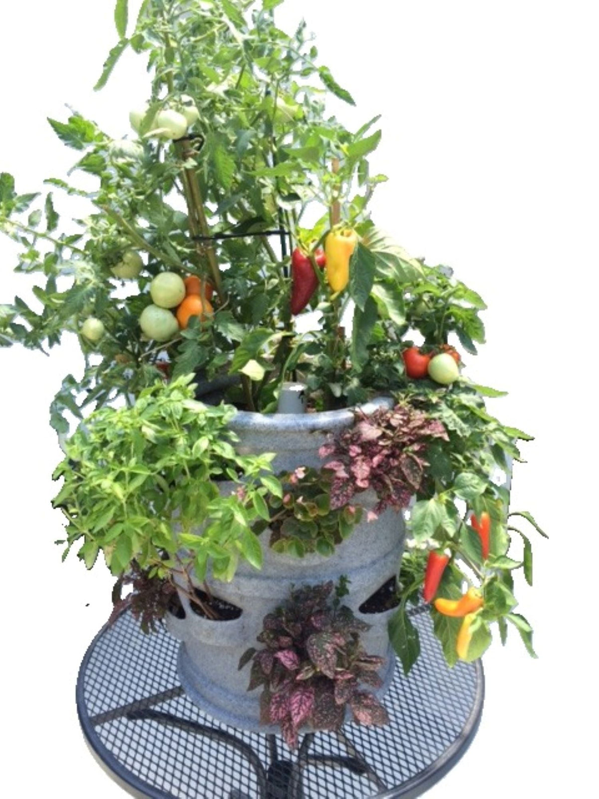 Planter W/Wheels Combo Pkg