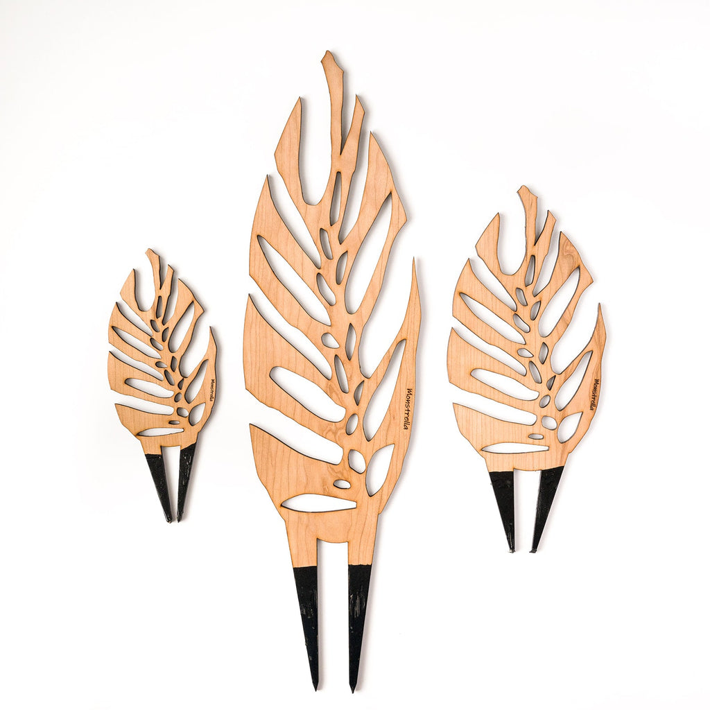 Monstrella - Plant trellis inspired by the Monstera Leaf