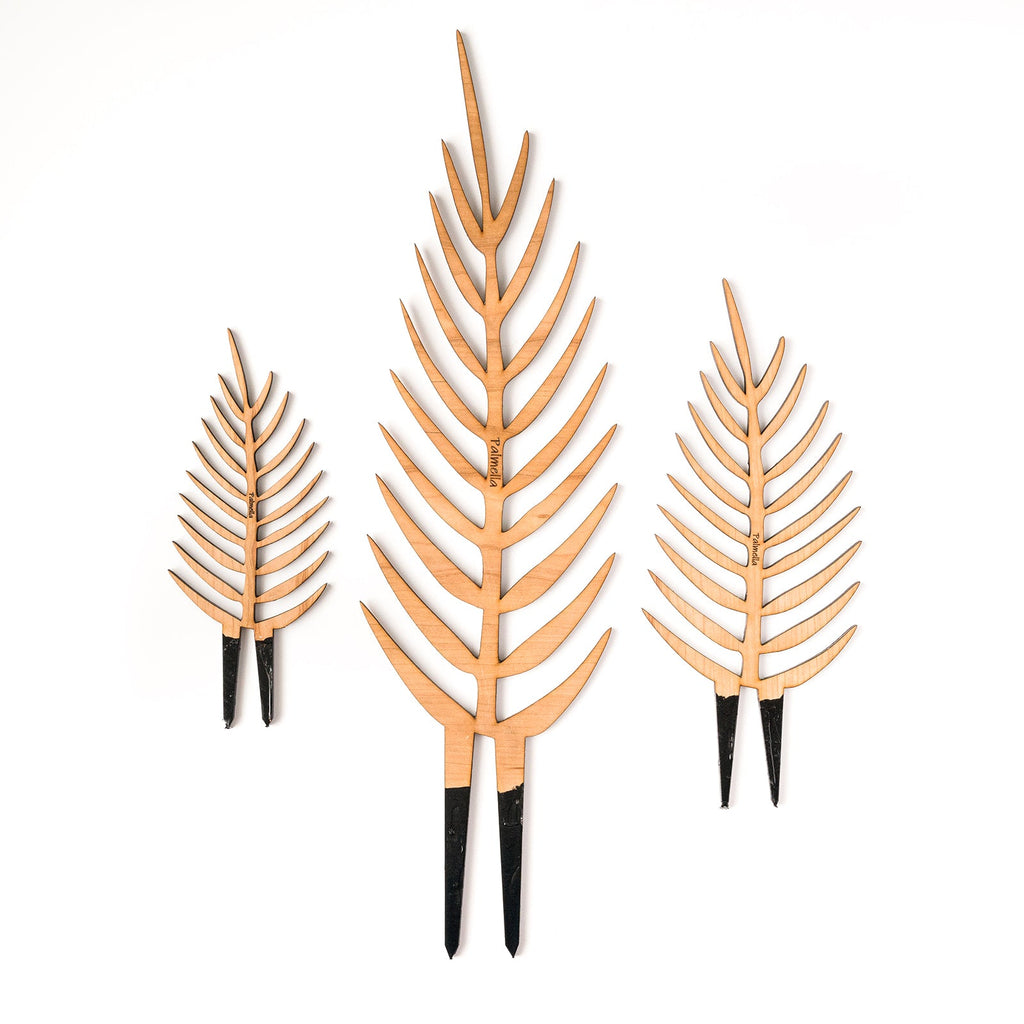 Palmella - Plant trellis inspired by the Palm Leaf