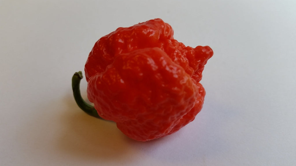 Trinidad Moruga Scorpion Red - Seeds