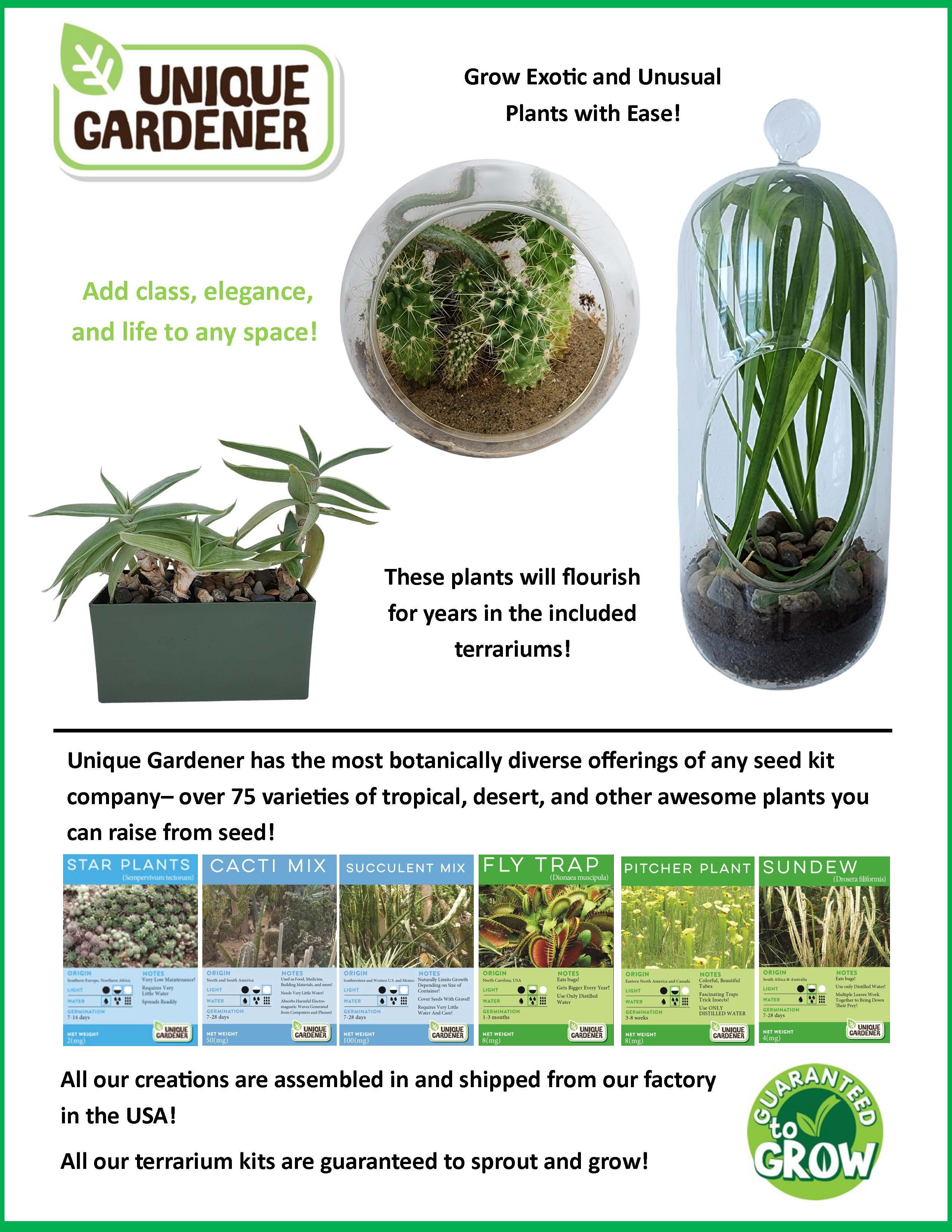 Superb Succulents Glass Terrarium Seed Starting Kit