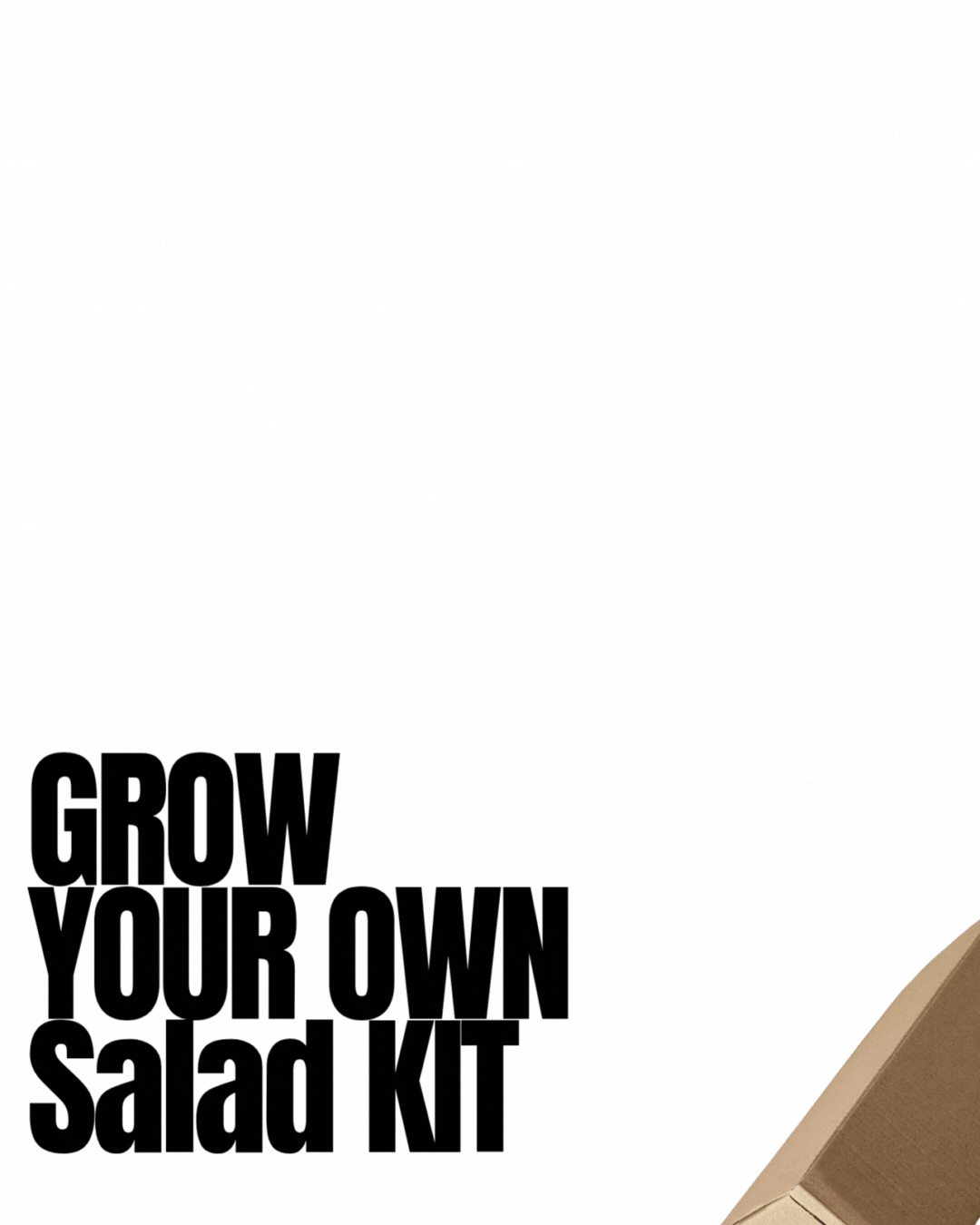 Grow your own Salad Kit