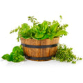 Herb Garden Seeds