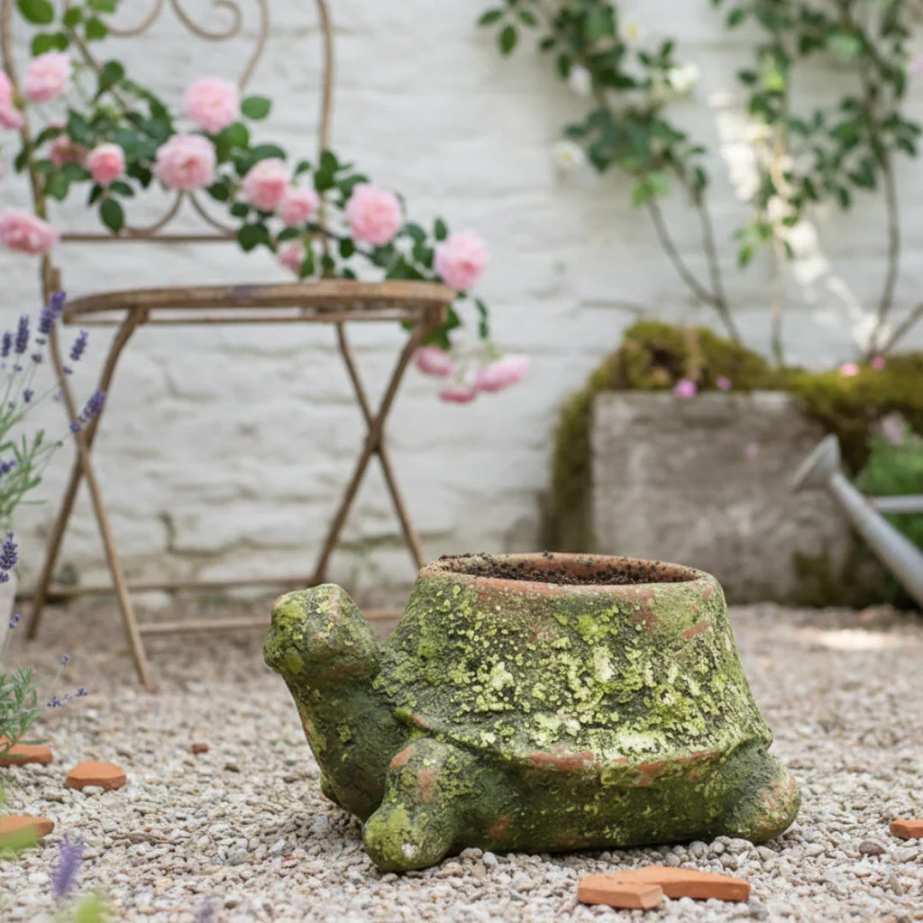 Mossy Terracotta Turtle Planter