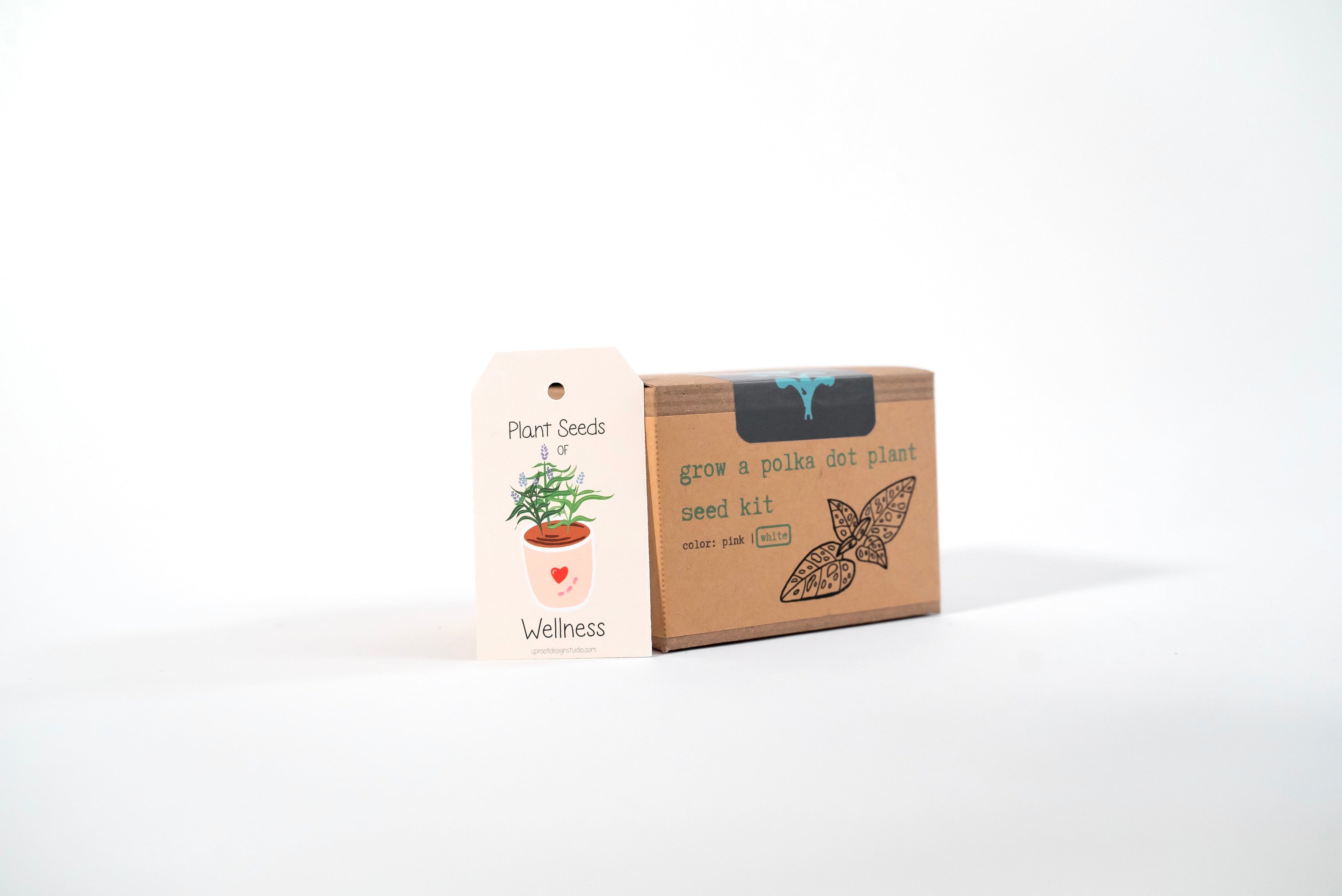 "Festive Garden" Gift Box: Chai, Stickers, Evergreen Candle, Cards, Meditations, Journal, Herbal Tea + White Polka-Dot Growing Kits (Winter Dreaming)