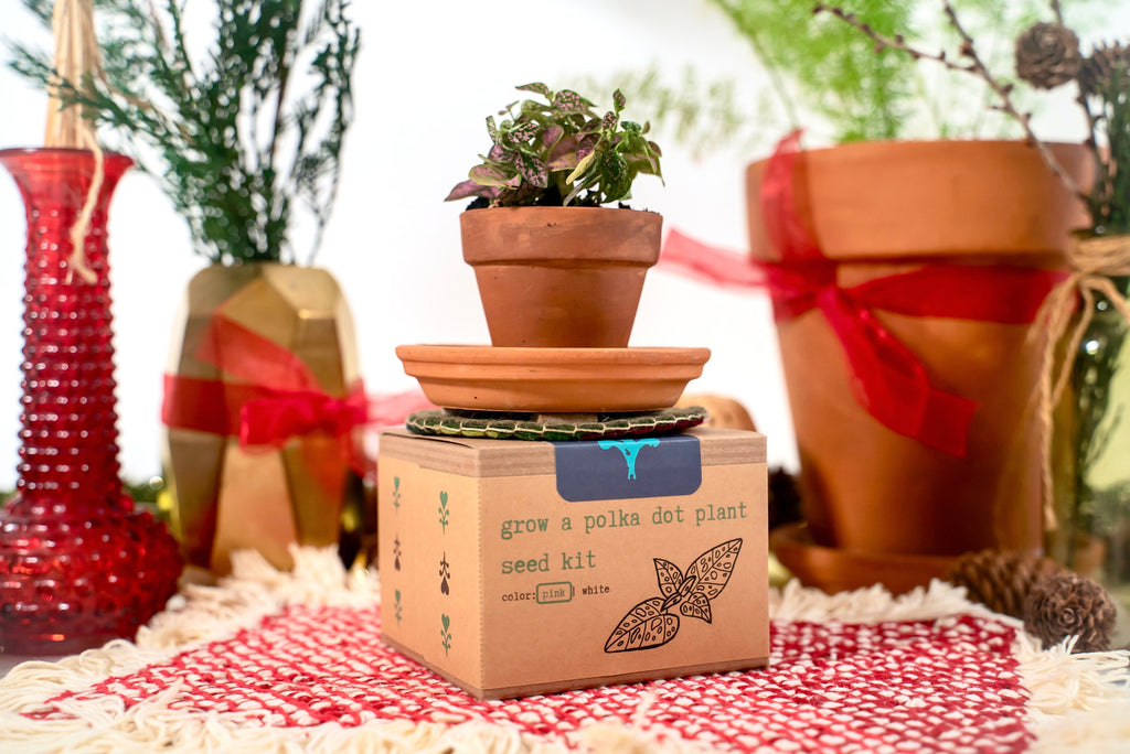 "Get Growing" Mindful Gardening Kit: Mindfulness Journal, Meditation Card + Growing Kit - Assorted (Winter Dreaming)