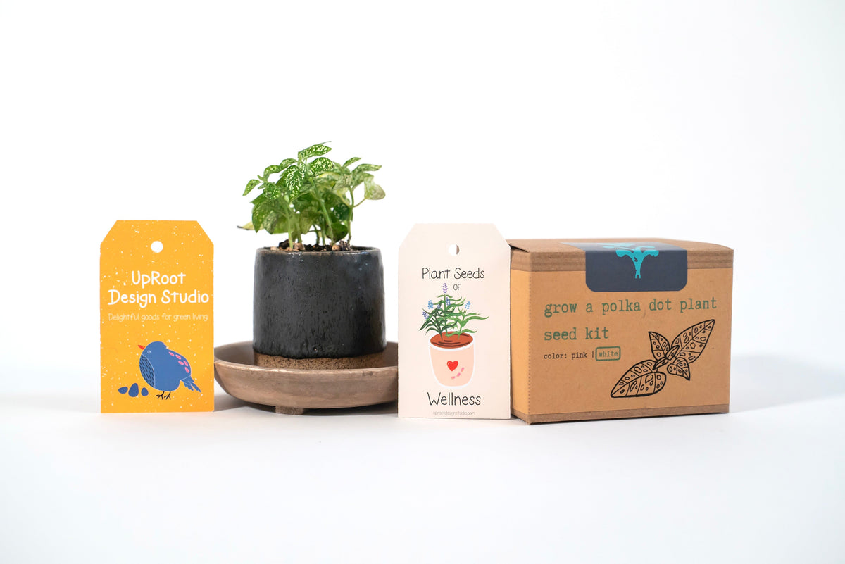 "Get Growing" Mindful Gardening Kit: Mindfulness Journal, Meditation Card +  Growing Kit - Assorted (Grow & Bloom)