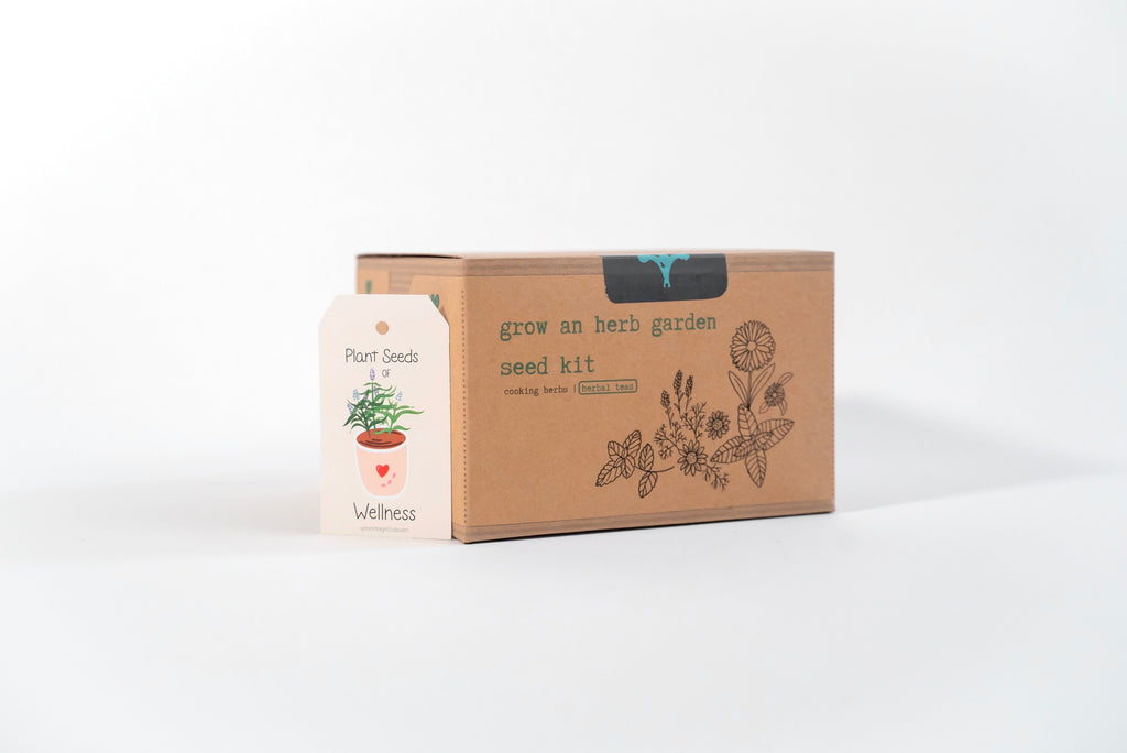 "Festive Garden" Gift Box: Chai, Stickers, Evergreen Candle, Cards, Meditations, Journal, Herbal Tea + White Polka-Dot Growing Kits (Winter Dreaming)