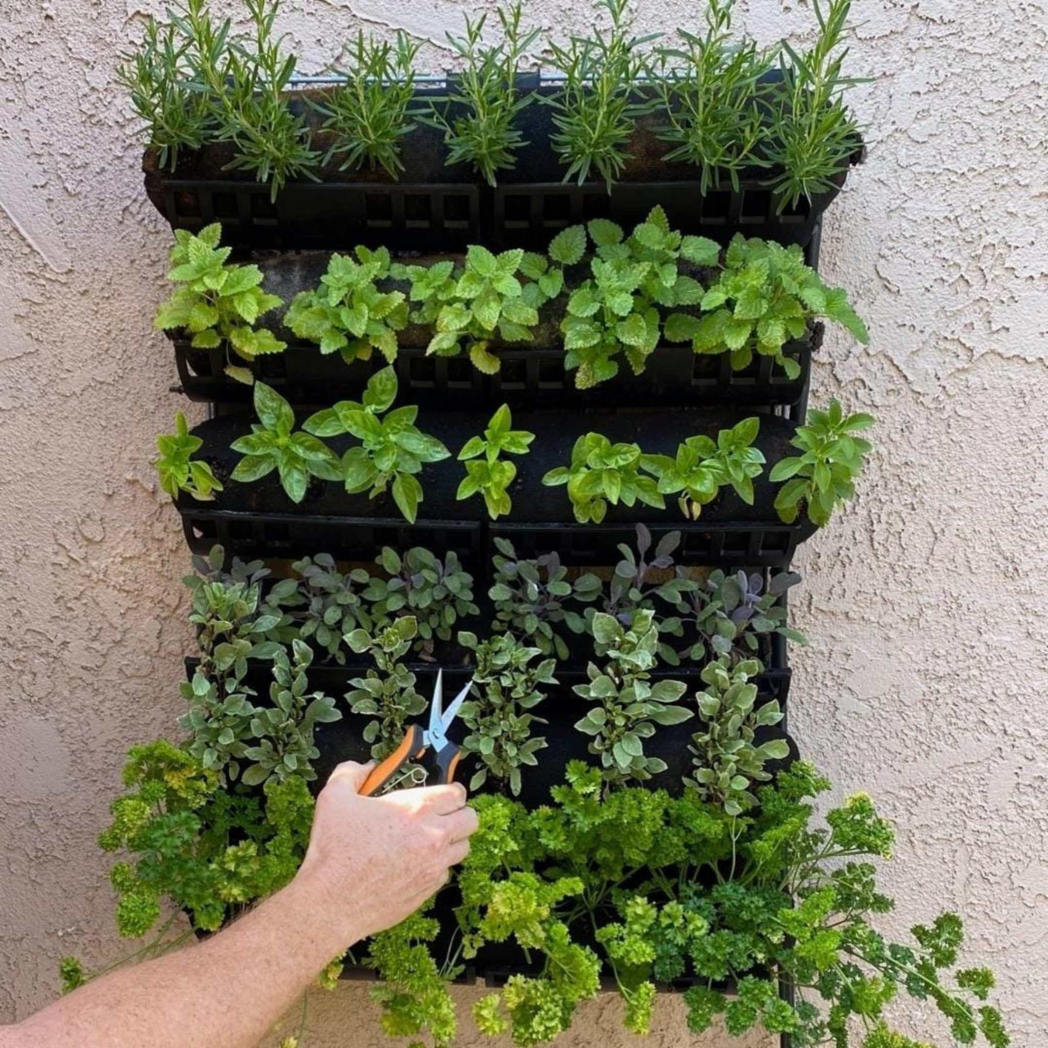 Varden™ Kitchen Garden