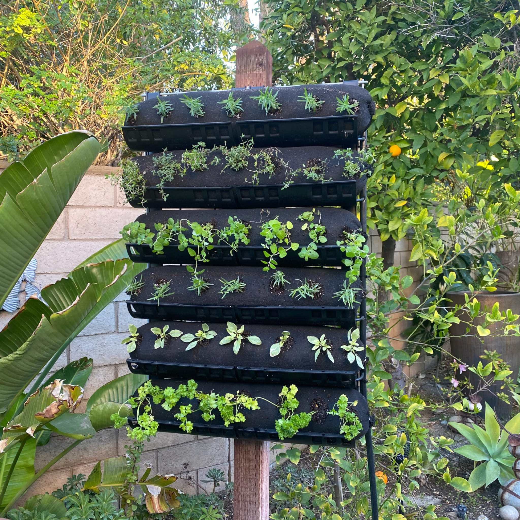 Varden™ Trays