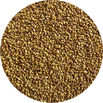 Vernal Alfalfa (Raw)