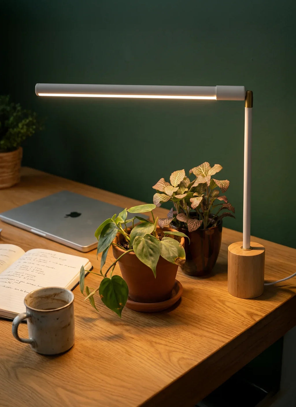 Versa™ Tabletop Grow Light