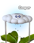 Cooper the Cloud