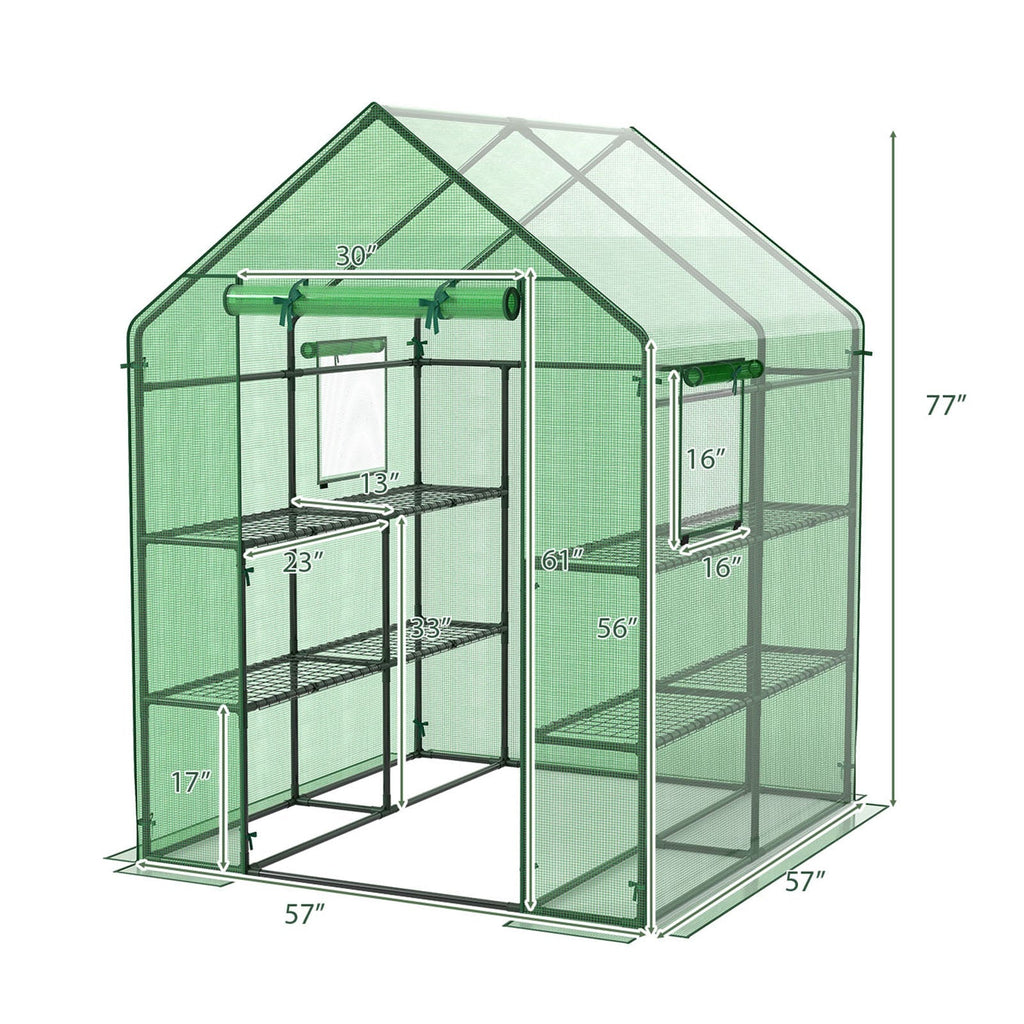Walk-in Greenhouse 56 x 56 x 77 Inch Gardening with Observation Windows