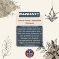TriStar Plants - One Year Warranty