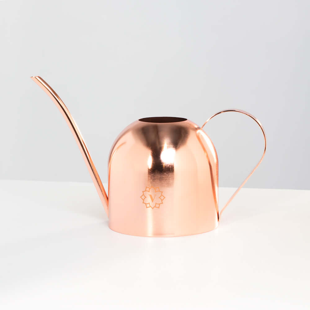 Lyfe Watering Can & Mister Bundle Rose Gold