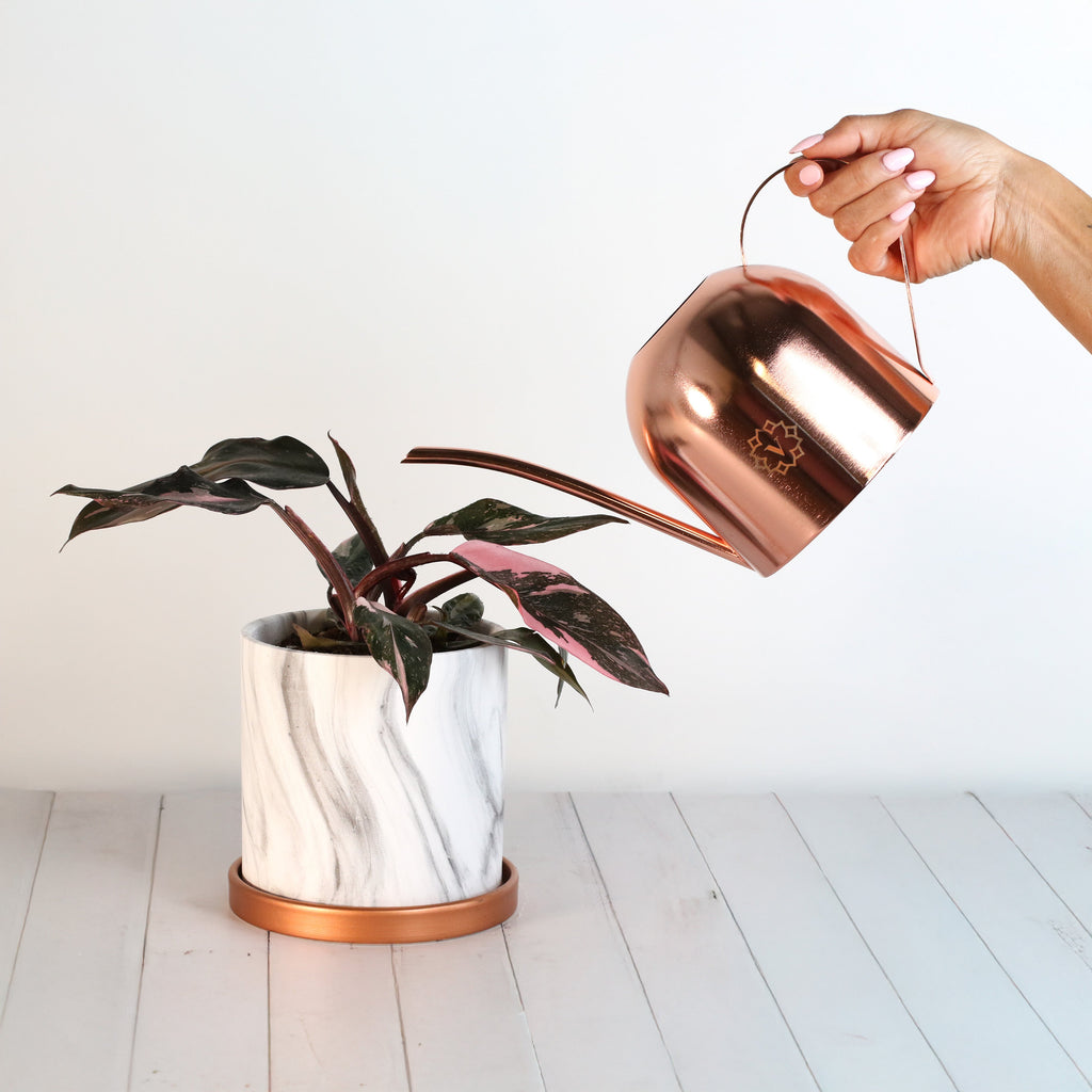 Lyfe Watering Can Signature Rose Gold