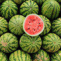 Crimson Sweet Watermelon Fruit Seeds