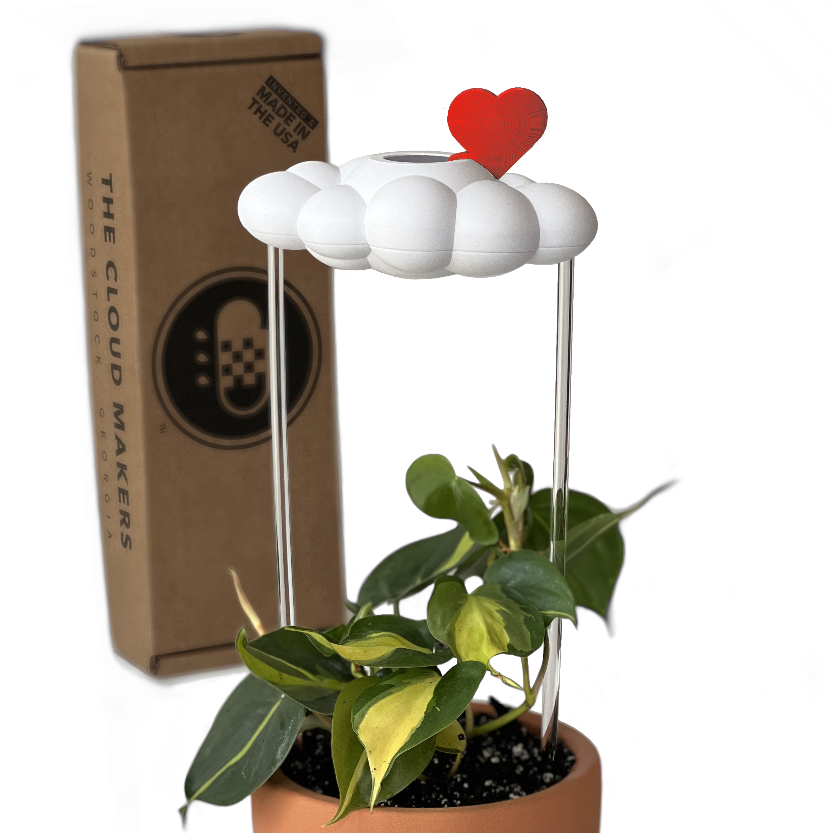 Original Dripping Rain Cloud with Red Heart Charm
