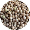 WyoWinter Pea
