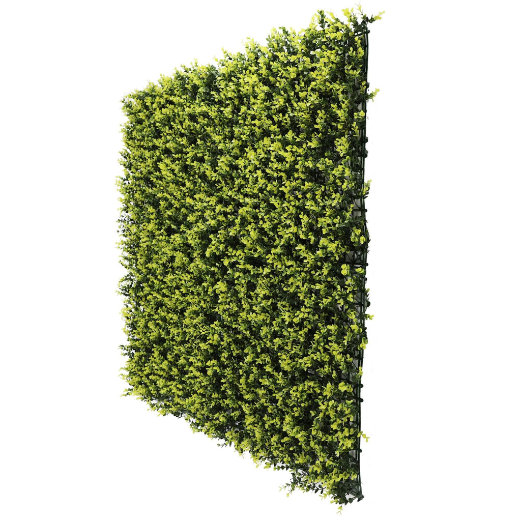 Yellow English Boxwood Artificial Vertical Garden Green Wall Panel 40×40in 11 SQ FT – UV Resistant – Commercial Grade