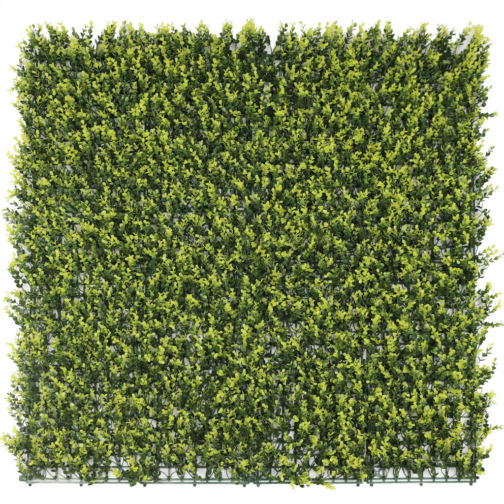 Yellow English Boxwood Artificial Vertical Garden Green Wall Panel 40×40in 11 SQ FT – UV Resistant – Commercial Grade