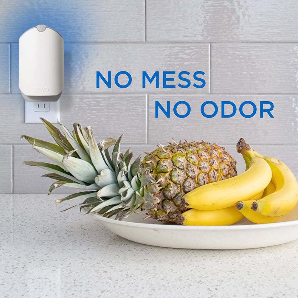 Flying Insect Fly Trap (1 Device + Refill)