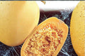 Spaghetti Winter Squash Seeds, Heirloom Cucurbita pepo, 1g, Pasta-like Flesh, Golden-Yellow, Easy to Grow Vegetable Seeds
