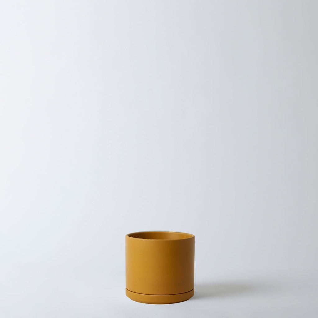 Solid Goods Ceramic Cylinder Planter with Saucer
